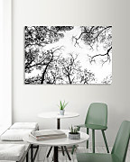Čiernobiely Obraz Konáre stromov zs1309